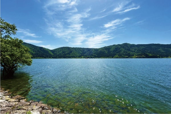 <滋賀>余呉湖一周ウォーキング 【明石・西神中央・緑が丘出発】1